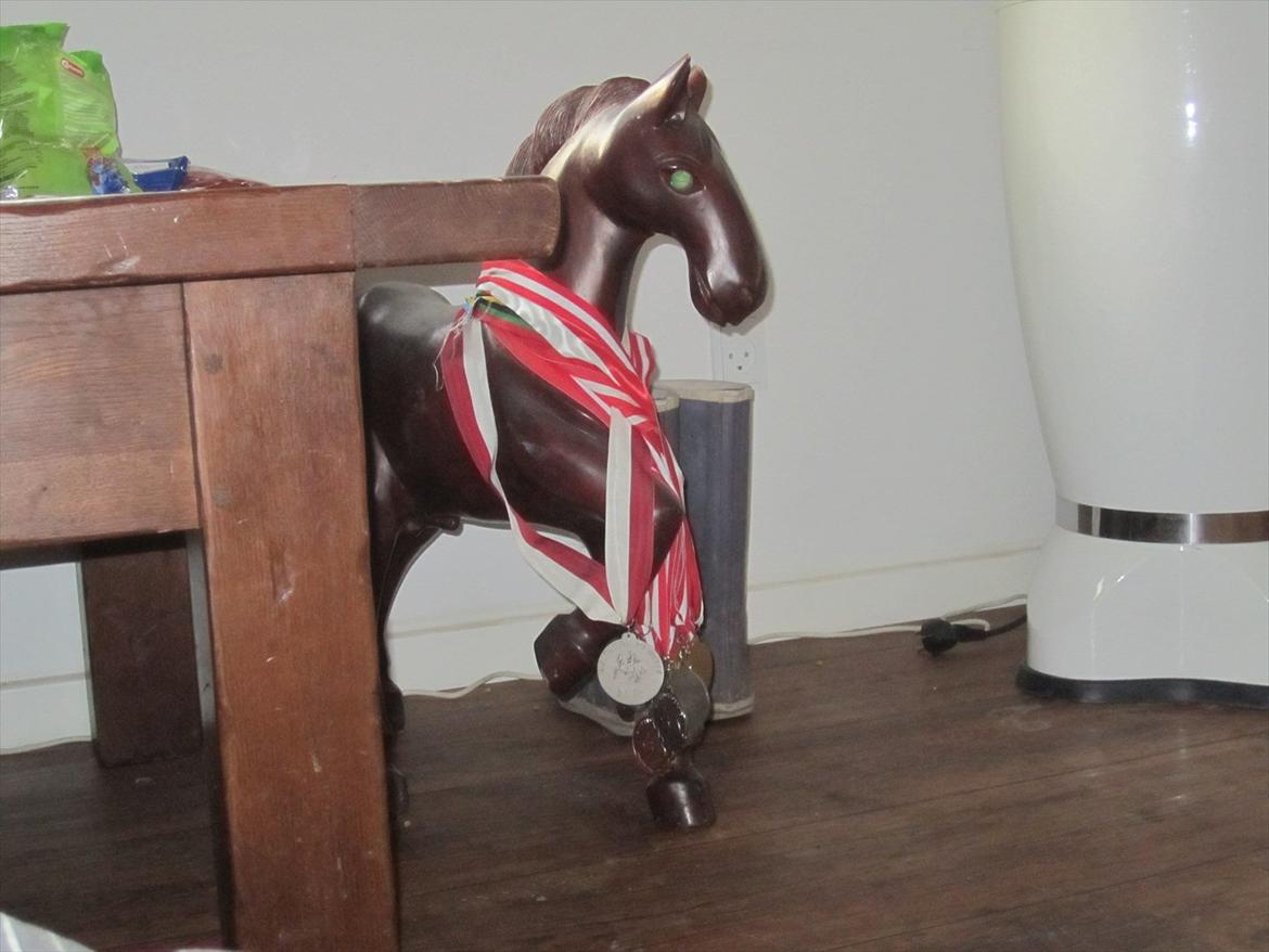 Ridelejr 2011 - Tina Lund - Nogle af Tinas medaljer billede 74