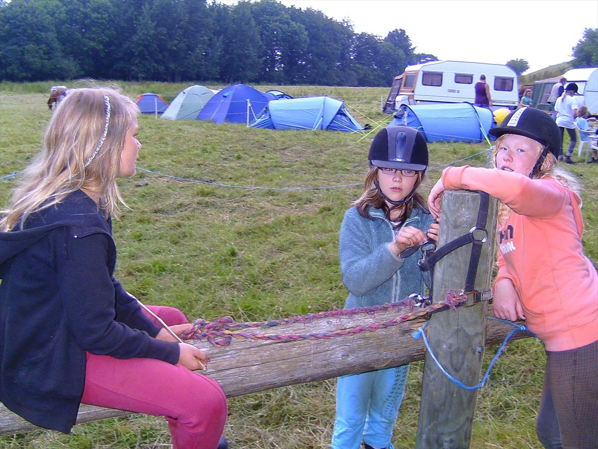 Ridelejre hos Mette Hald Ramussen billede 152