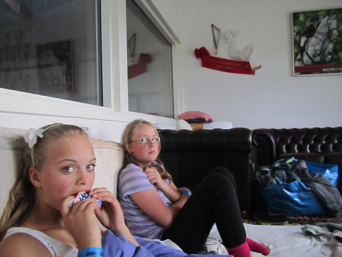 Ridelejr 2011 - Tina Lund - Tøserne i vores seng i rytterstuen :D billede 79