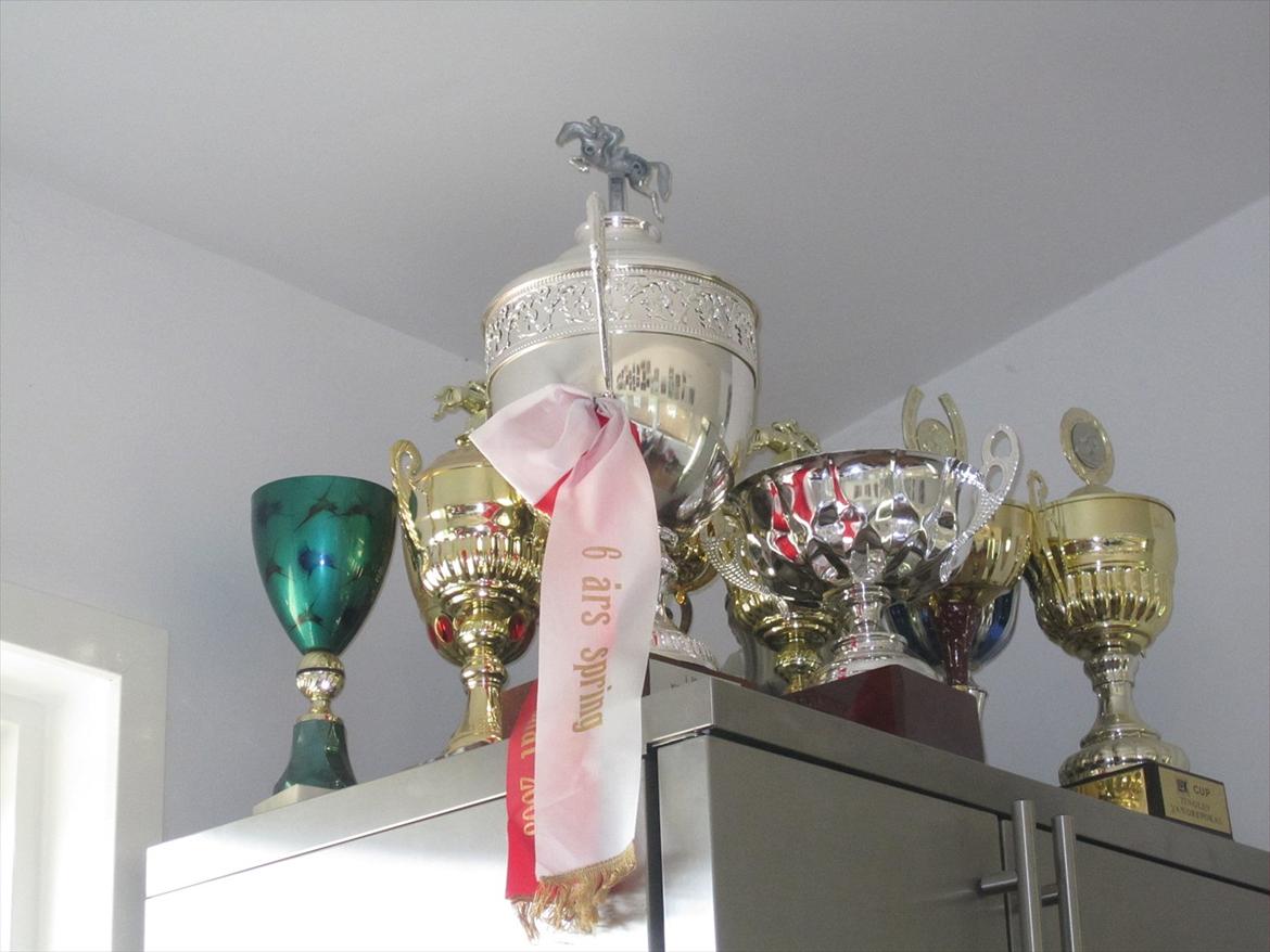 Ridelejr 2011 - Tina Lund - Den største pokal i rytterstuen billede 86