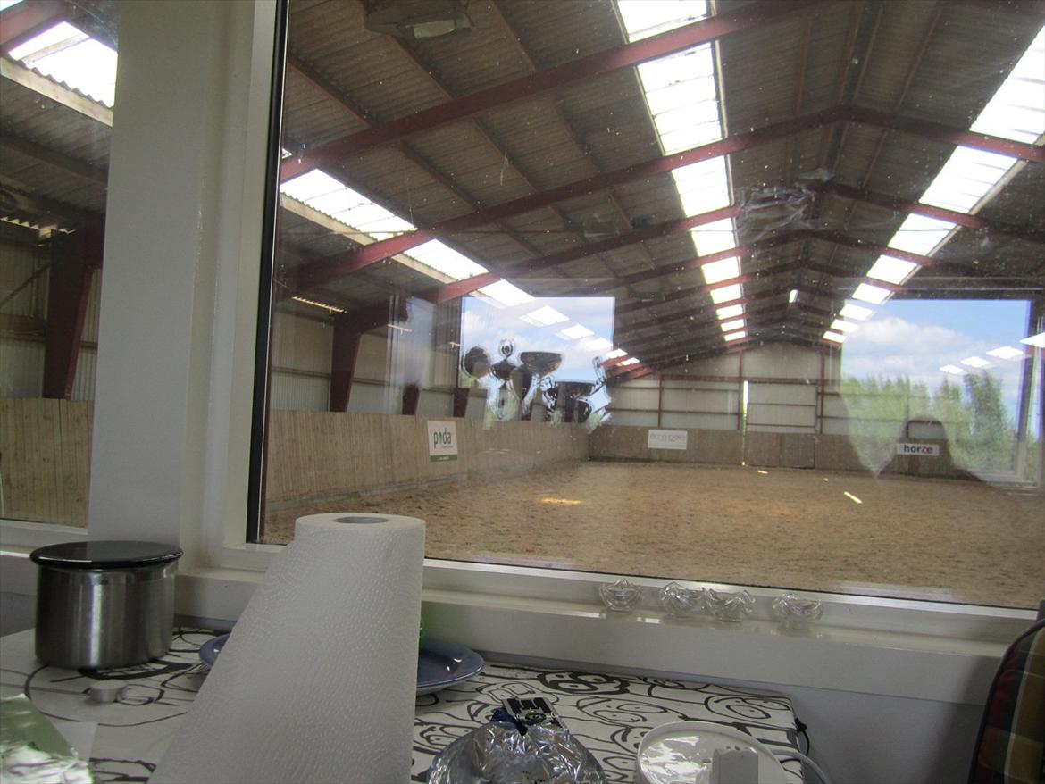 Ridelejr 2011 - Tina Lund - Ridehuset set fra rytterstuen billede 88