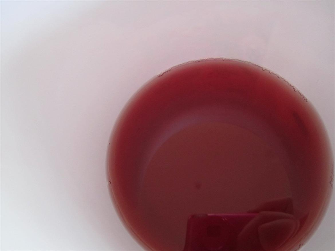 Ridelejr 2011 - Tina Lund - SAFTEVAND!! billede 89