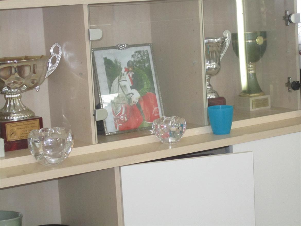 Ridelejr 2011 - Tina Lund - Pokaler billede 92