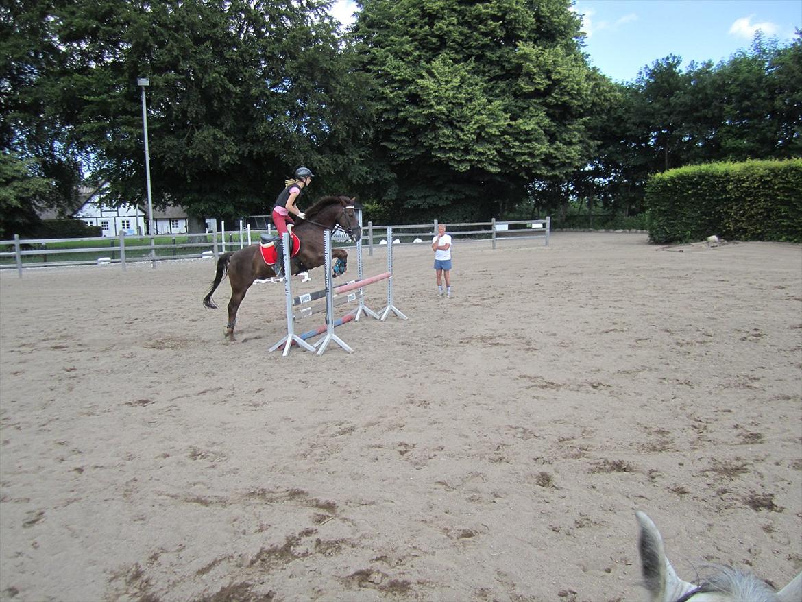 Ridelejr 2011 - Tina Lund - Maria springer på hendes pony: ....ramon :D(det eneste spring-ridebillede jeg fik, da vi alle red samtidig) billede 96