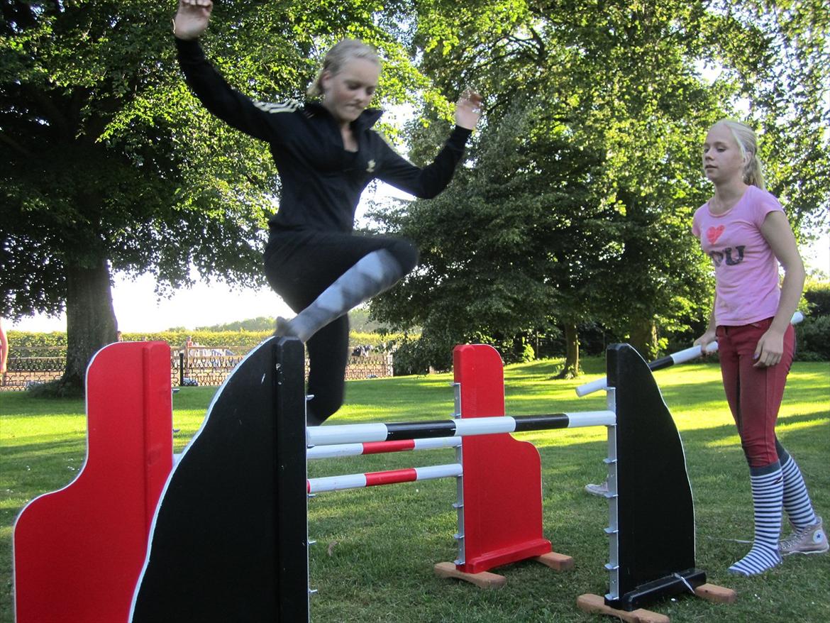 Ridelejr 2011 - Tina Lund - Nanna springer okser :D billede 97