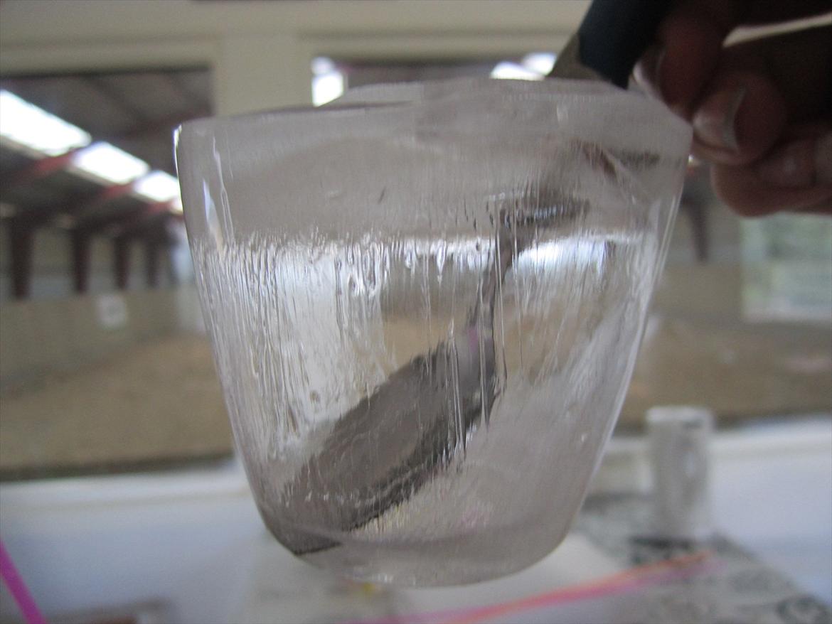 Ridelejr 2011 - Tina Lund - SLIKKEPINDS IS billede 118