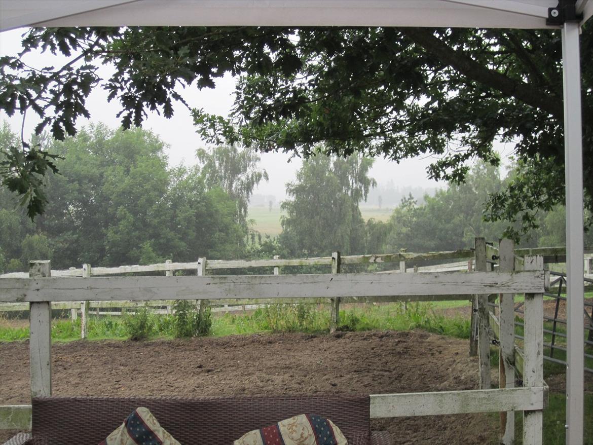 Ridelejr 2011 - Tina Lund billede 121