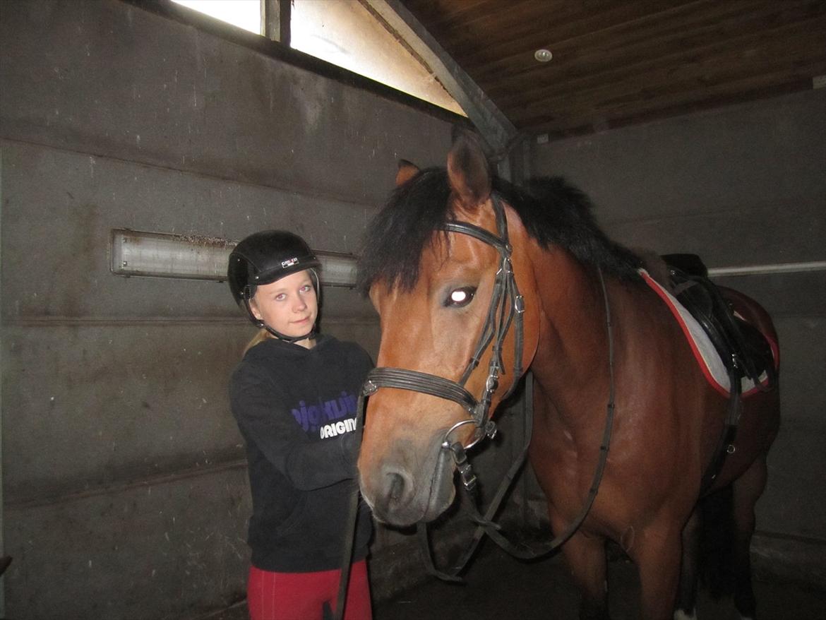 Ridelejr 2011 - Tina Lund - Maria der sadler Russi op 
(som jeg også nåede at ride) :D billede 124
