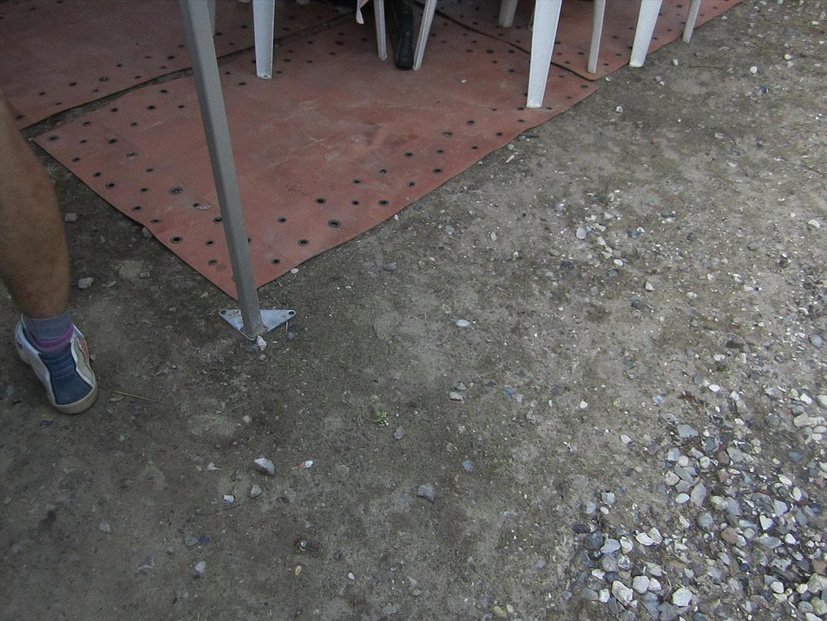 Ridelejr 2011 - Tina Lund billede 157