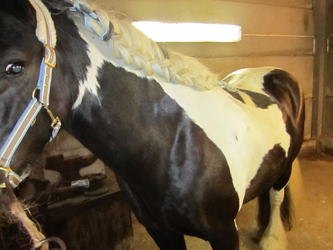 Ridelejr 2011 - Tina Lund billede 160