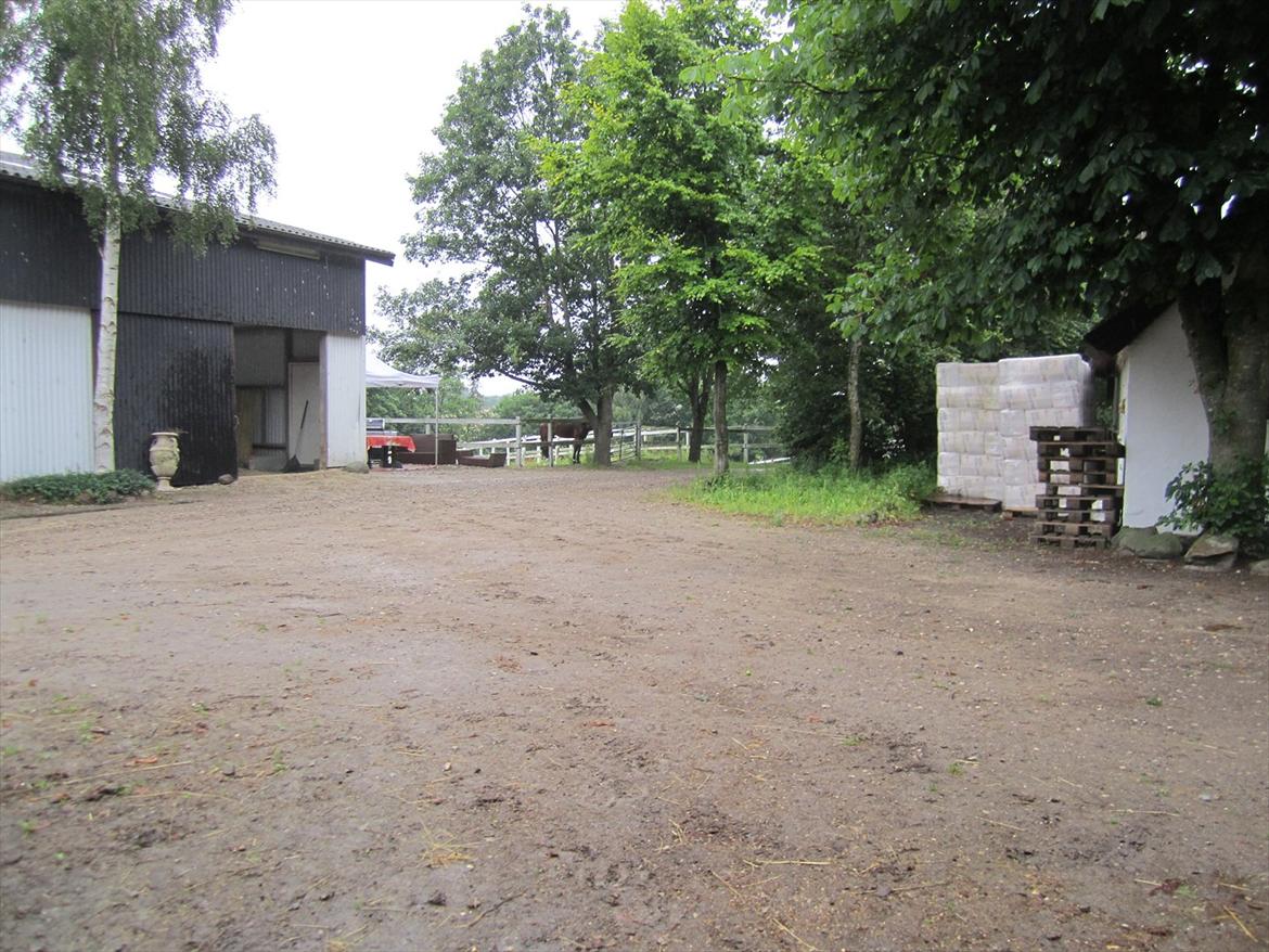 Ridelejr 2011 - Tina Lund - Regnvejr -.- billede 180