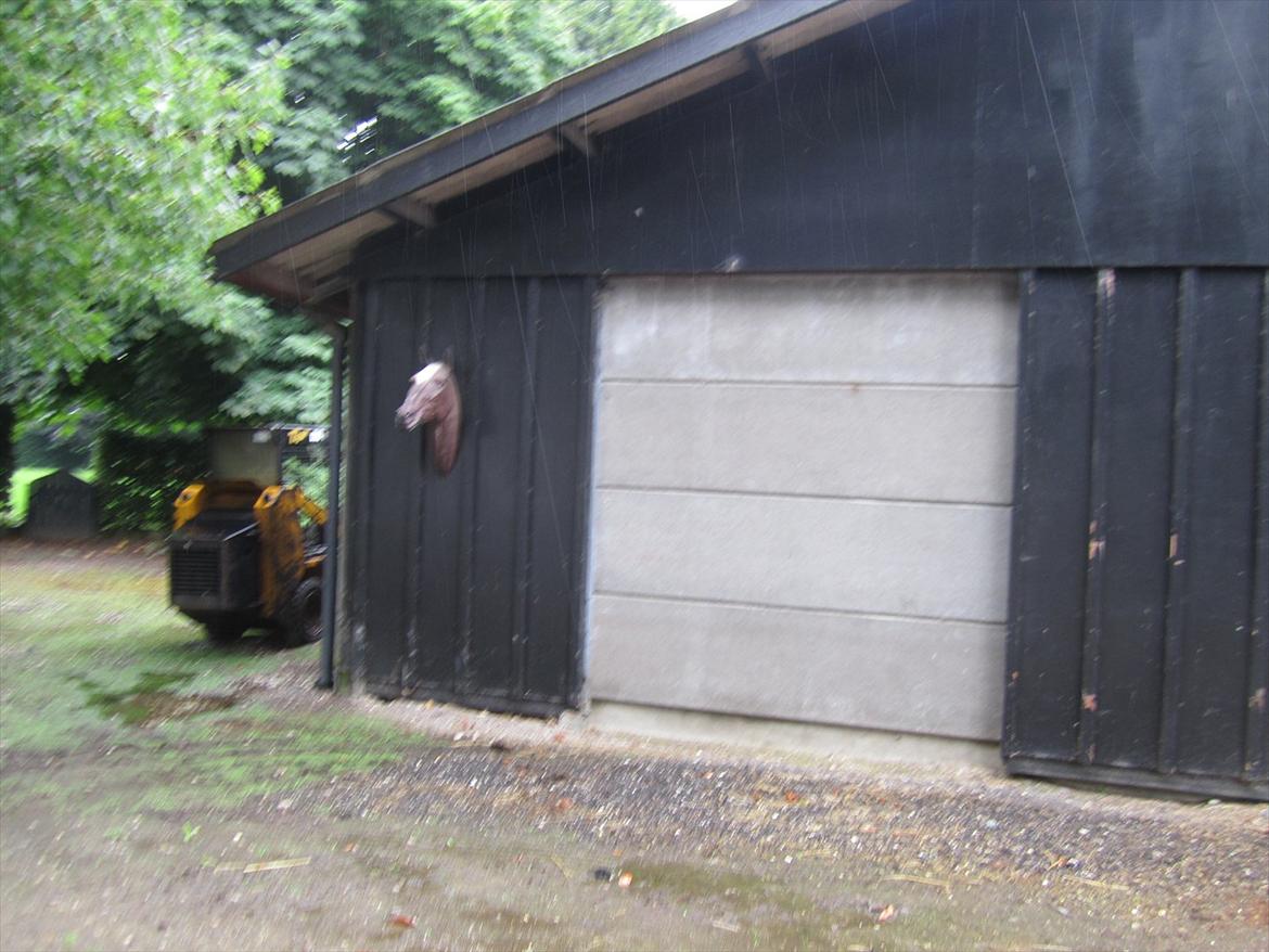 Ridelejr 2011 - Tina Lund billede 181