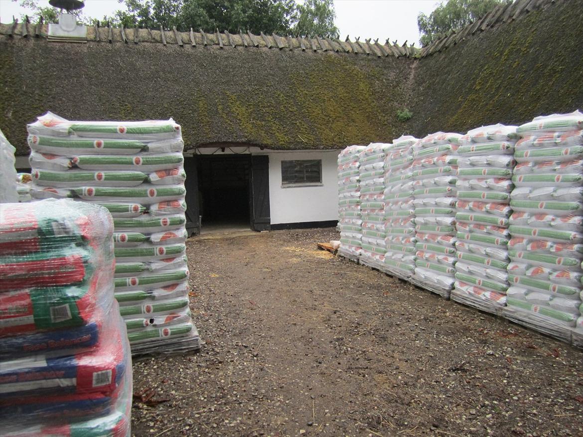 Ridelejr 2011 - Tina Lund billede 183