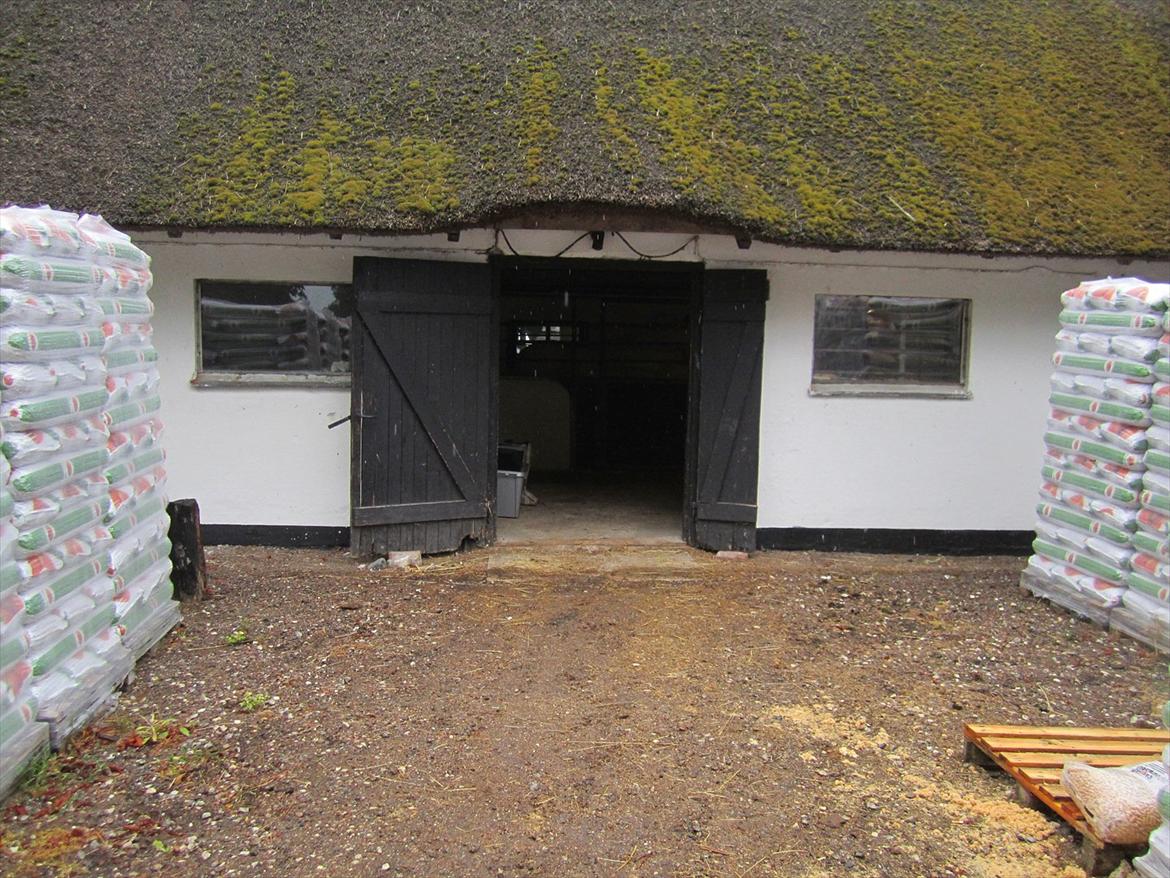 Ridelejr 2011 - Tina Lund billede 184