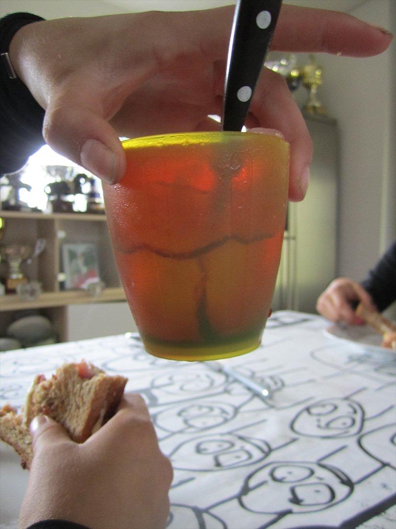 Ridelejr 2011 - Tina Lund - Frossen saftevand :D billede 190