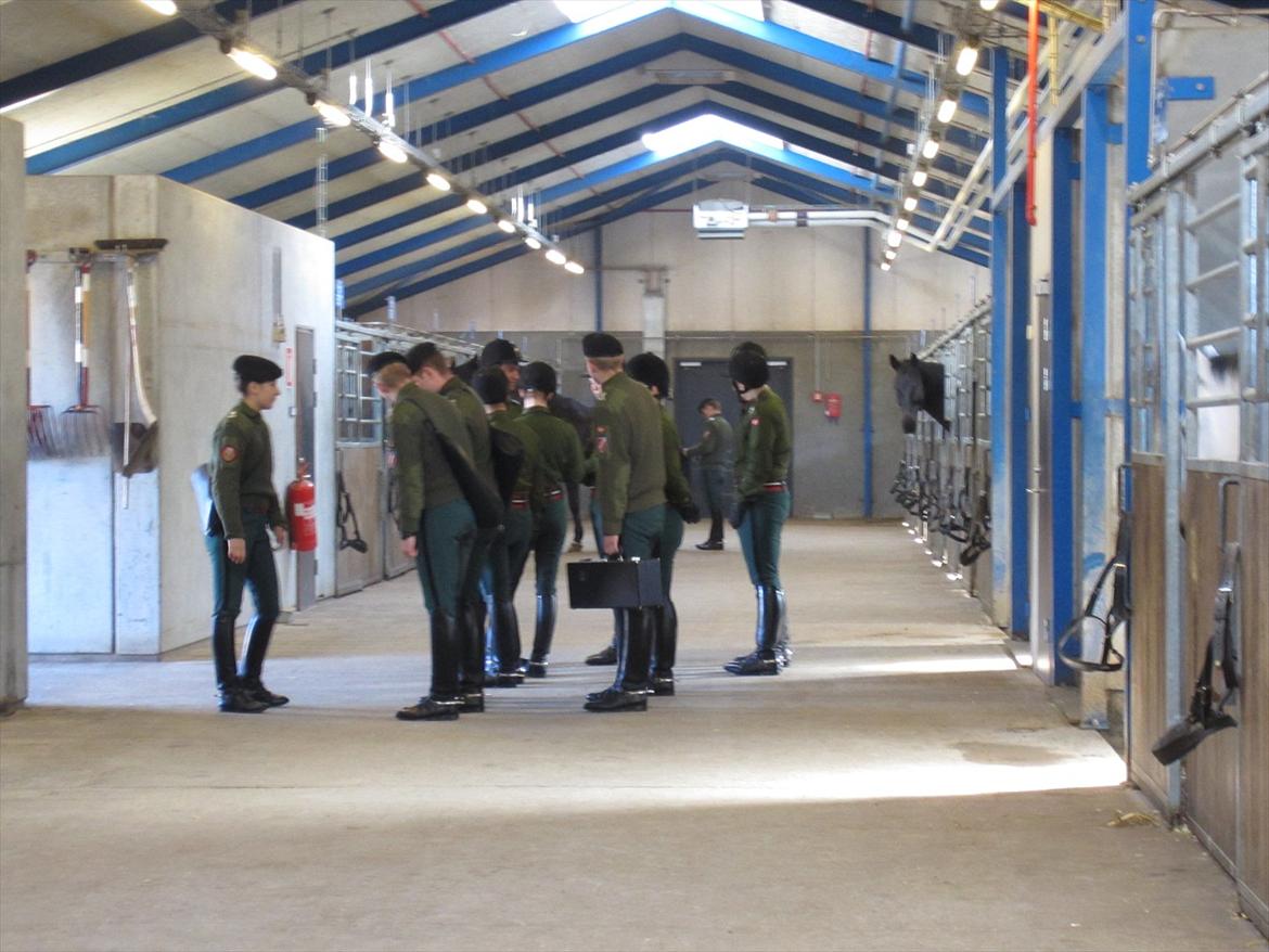 Gardehusarregimentet  - Der ser vi rytterene stå ret, og venter på at få uddelt deres heste. - Fotograf Sabina Østlund billede 5