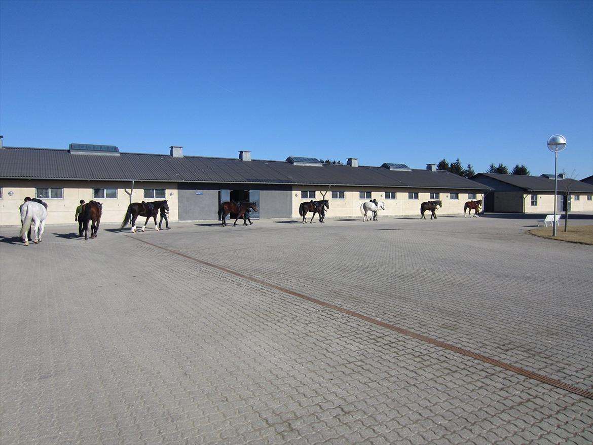 Gardehusarregimentet  - Man går i række for at komme over i ride hallen og ride. - Fotograf Sabina Østlund billede 12
