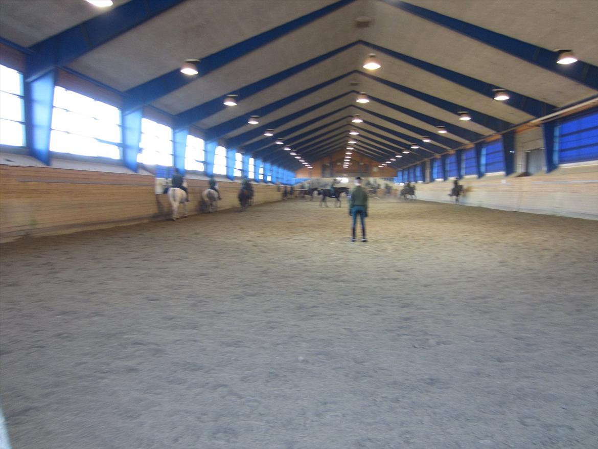 Gardehusarregimentet  - Ride hallen Fotograf Sabina Østlund billede 22