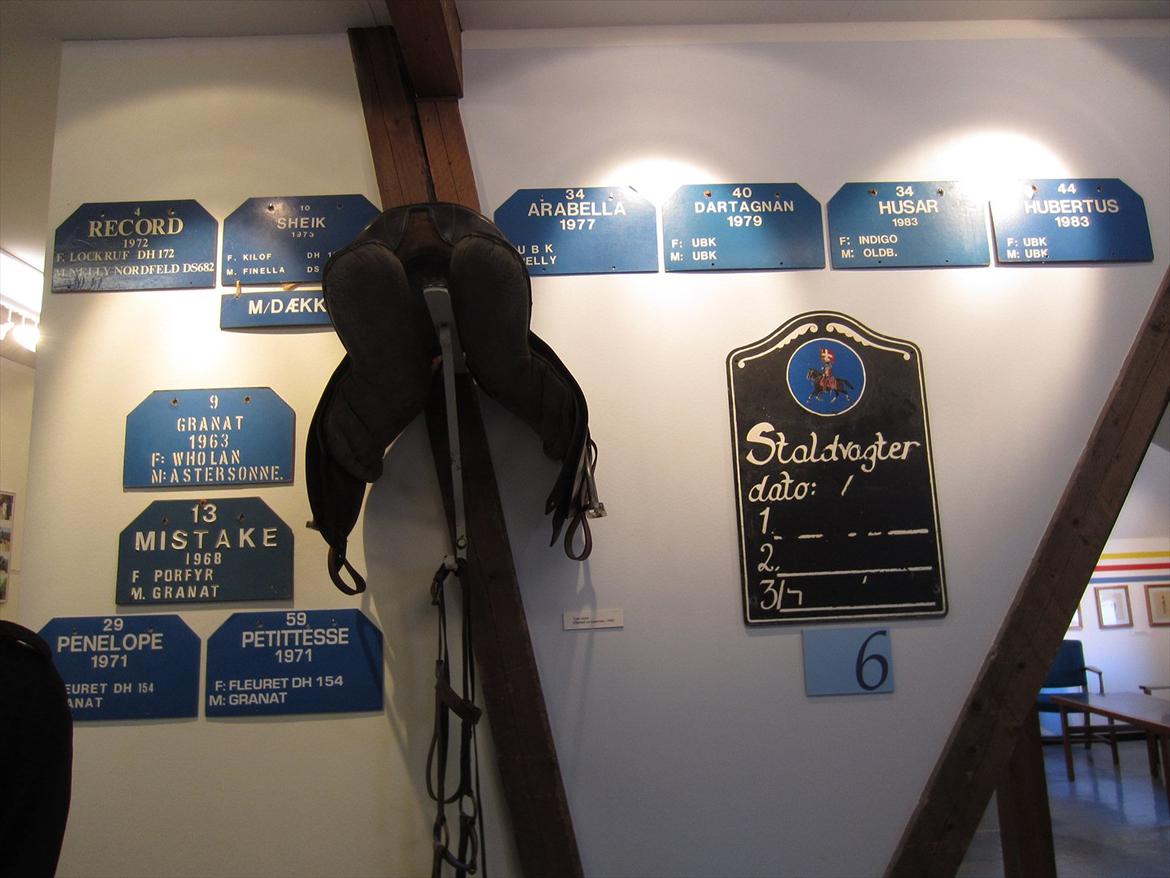 Gardehusarregimentet  - Alle de afdøde hestes Navne skilte Fotograf Sabina Østlund billede 26