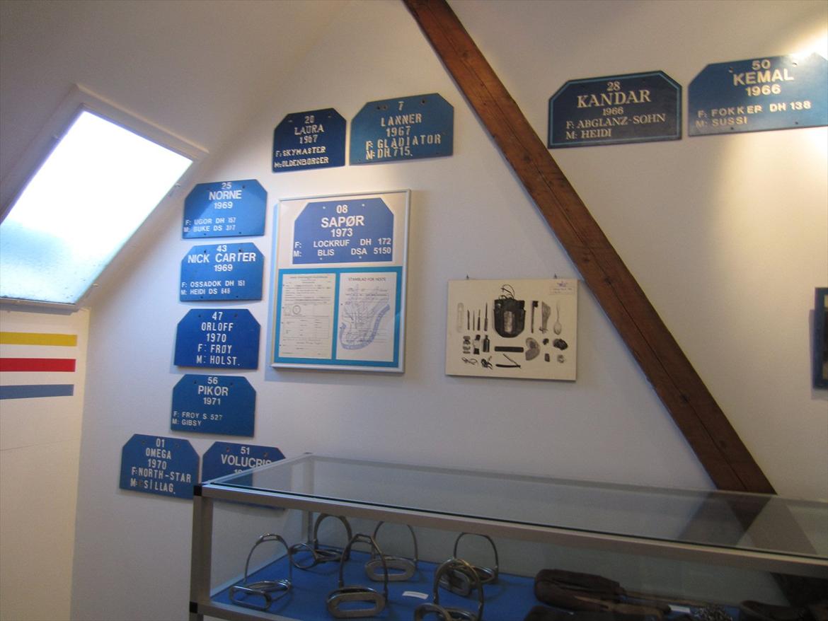 Gardehusarregimentet  - Alle de afdøde hestes Navne skilte Fotograf Sabina Østlund billede 27