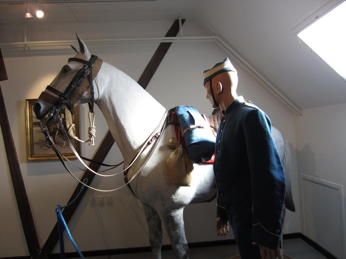 Gardehusarregimentet  - Oppakningens model af hest og rytter Fotograf Sabina Østlund billede 33