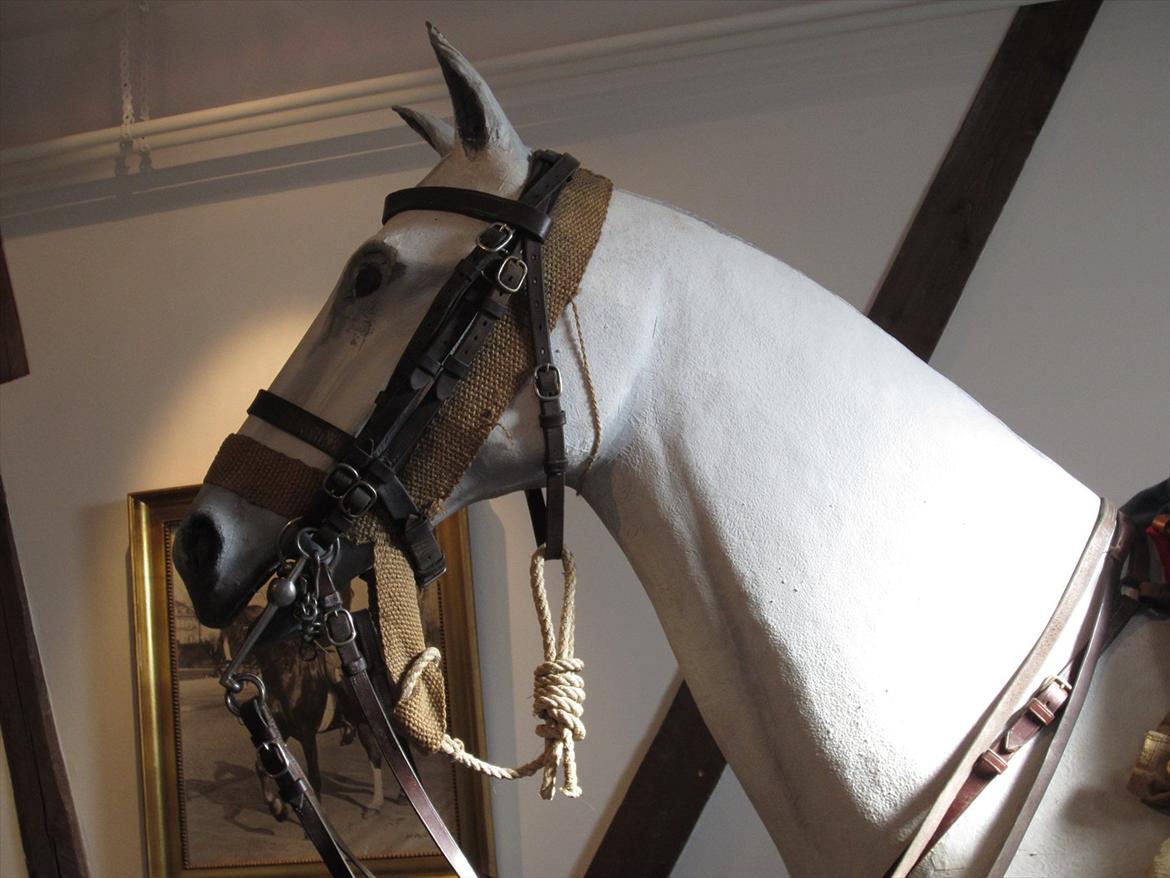 Gardehusarregimentet  - Grime og hoved tøjs model Fotograf Sabina Østlund  billede 34