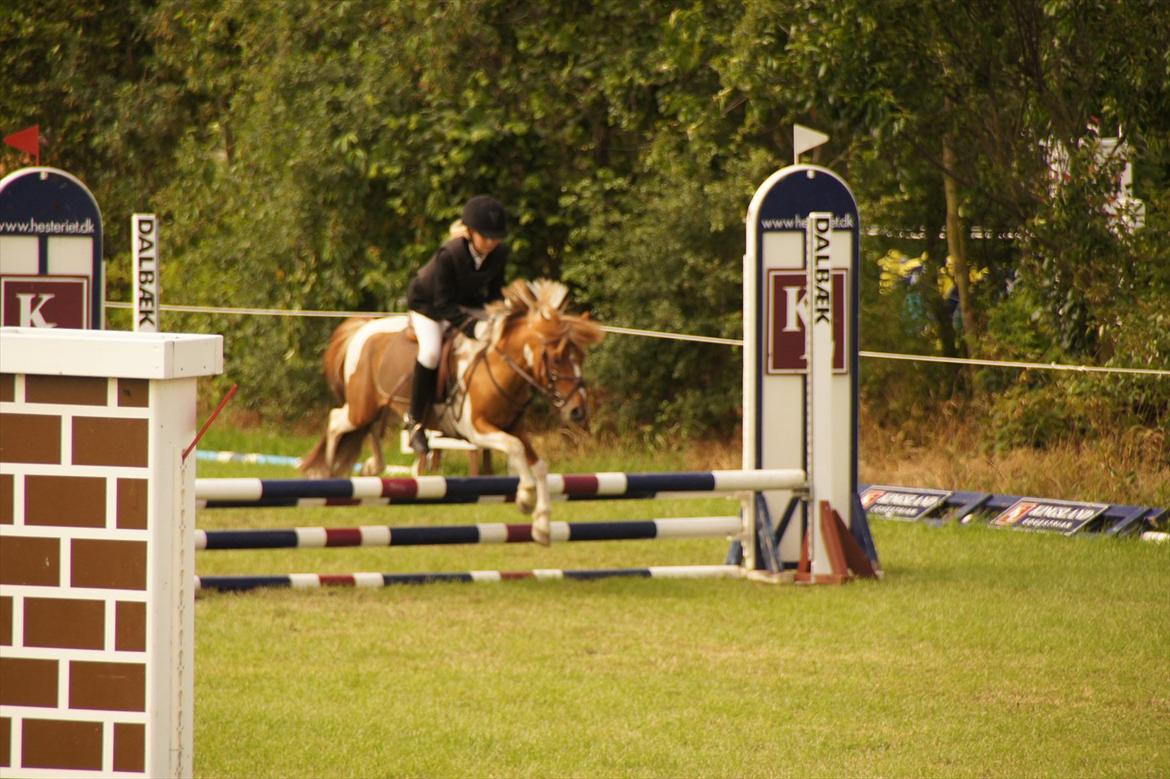 Kongeå rideklub 09.07.11 & 10.07.11 billede 1