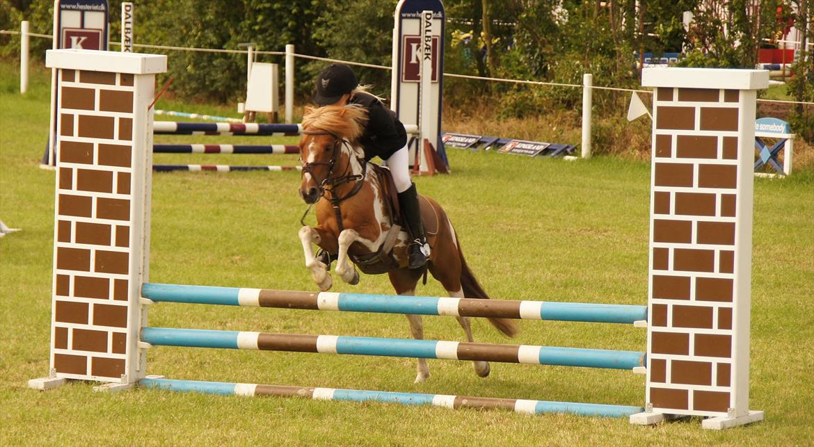 Kongeå rideklub 09.07.11 & 10.07.11 billede 2