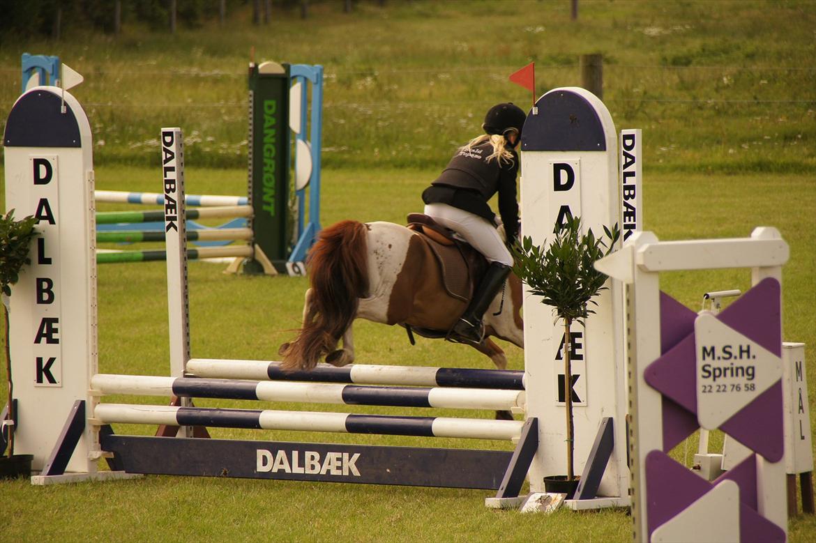 Kongeå rideklub 09.07.11 & 10.07.11 billede 3