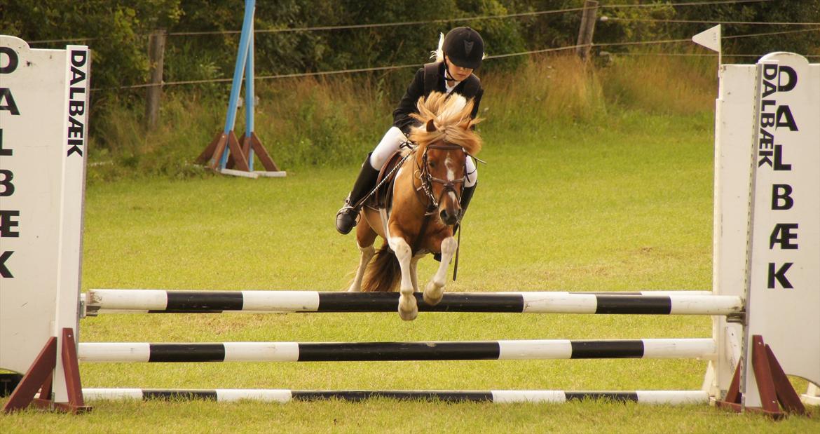 Kongeå rideklub 09.07.11 & 10.07.11 billede 4