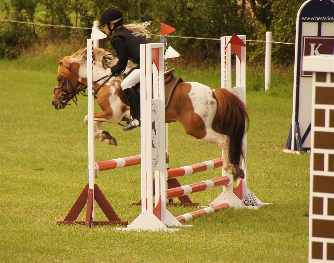 Kongeå rideklub 09.07.11 & 10.07.11 billede 6