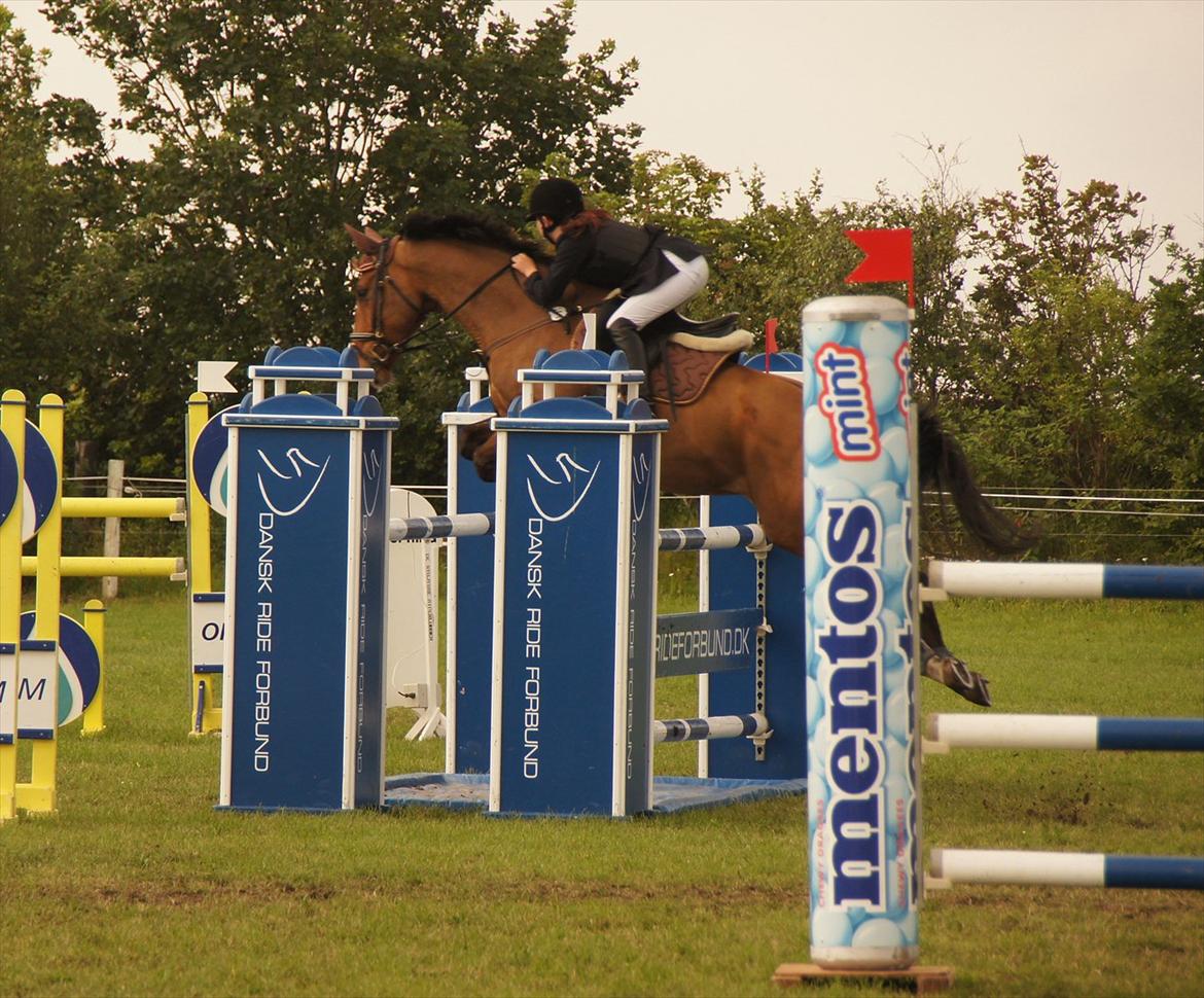 Kongeå rideklub 09.07.11 & 10.07.11 billede 12