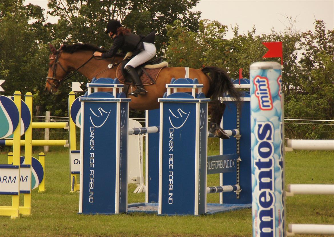 Kongeå rideklub 09.07.11 & 10.07.11 billede 13