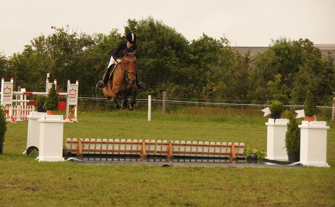 Kongeå rideklub 09.07.11 & 10.07.11 billede 19