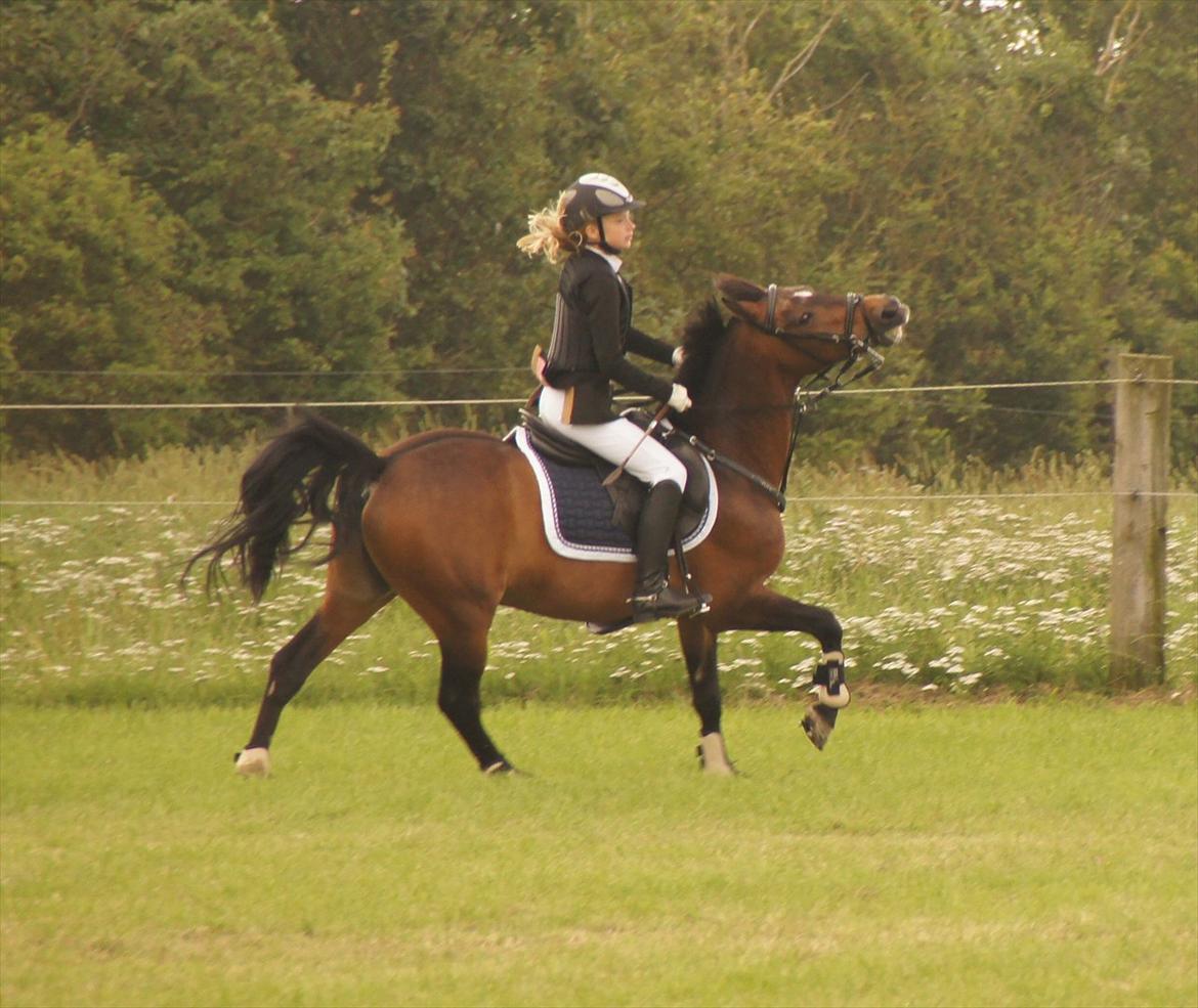 Kongeå rideklub 09.07.11 & 10.07.11 billede 23