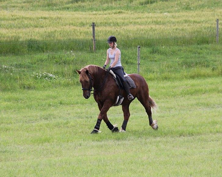 Anti-tunge koldblodsheste:D billede 3