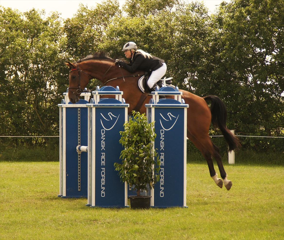 Kongeå rideklub 09.07.11 & 10.07.11 billede 37