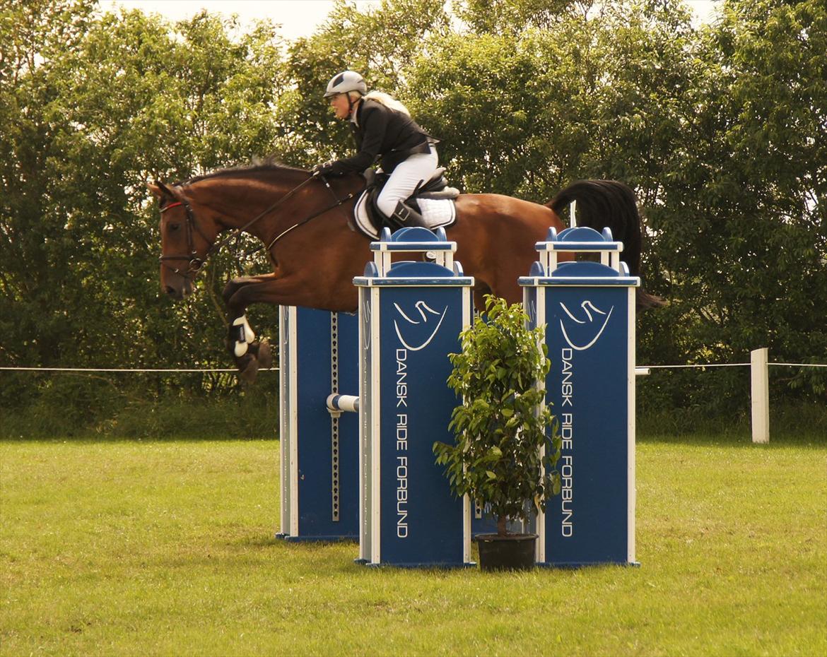 Kongeå rideklub 09.07.11 & 10.07.11 billede 38