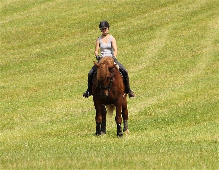 Anti-tunge koldblodsheste:D billede 13