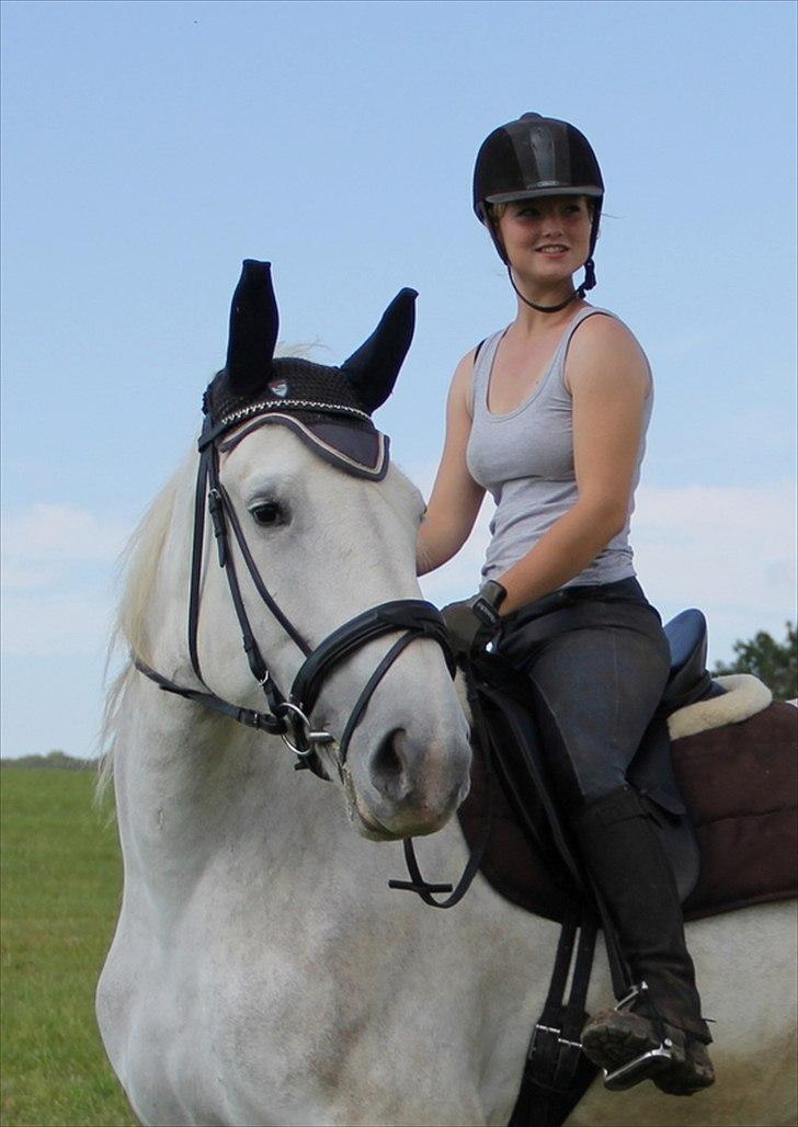 Anti-tunge koldblodsheste:D billede 25