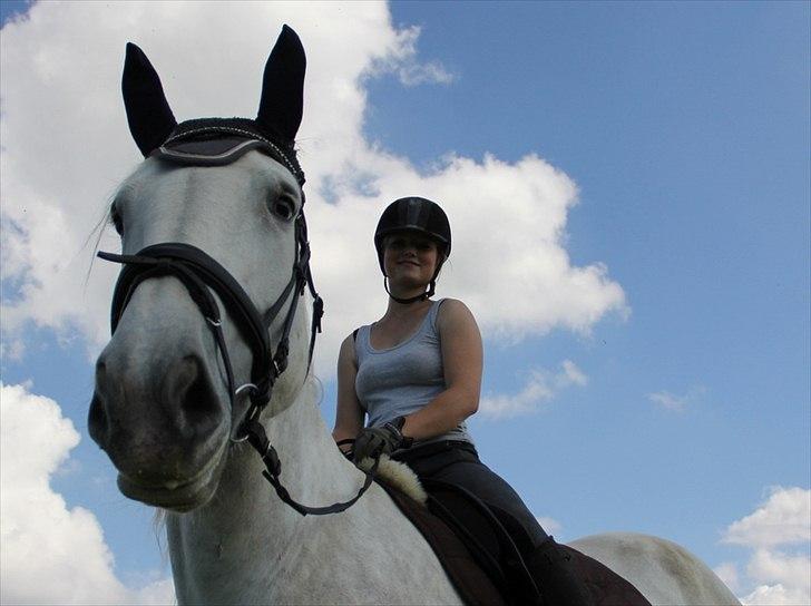 Anti-tunge koldblodsheste:D billede 55