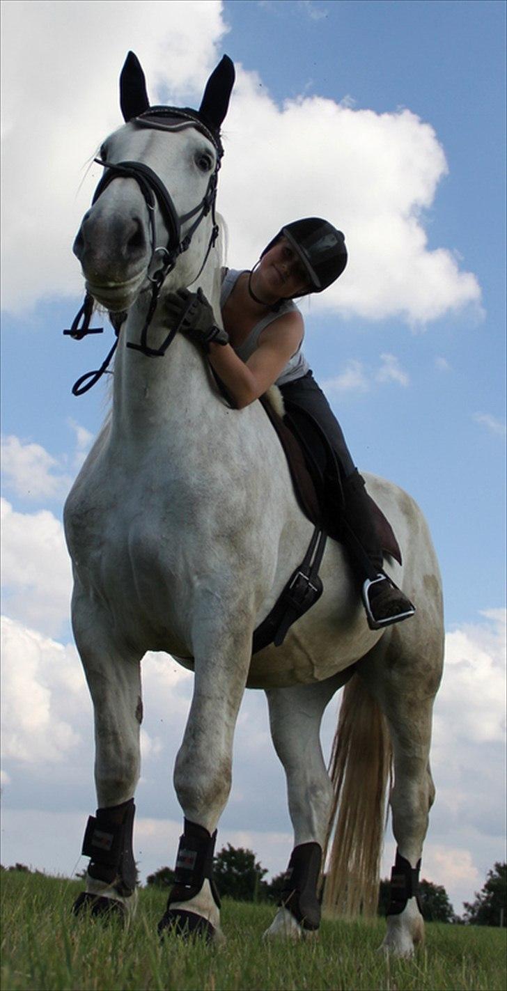 Anti-tunge koldblodsheste:D billede 56