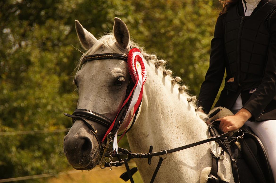 Kongeå rideklub 09.07.11 & 10.07.11 - vinder af LA2** 350,- + hovedtøj  billede 46