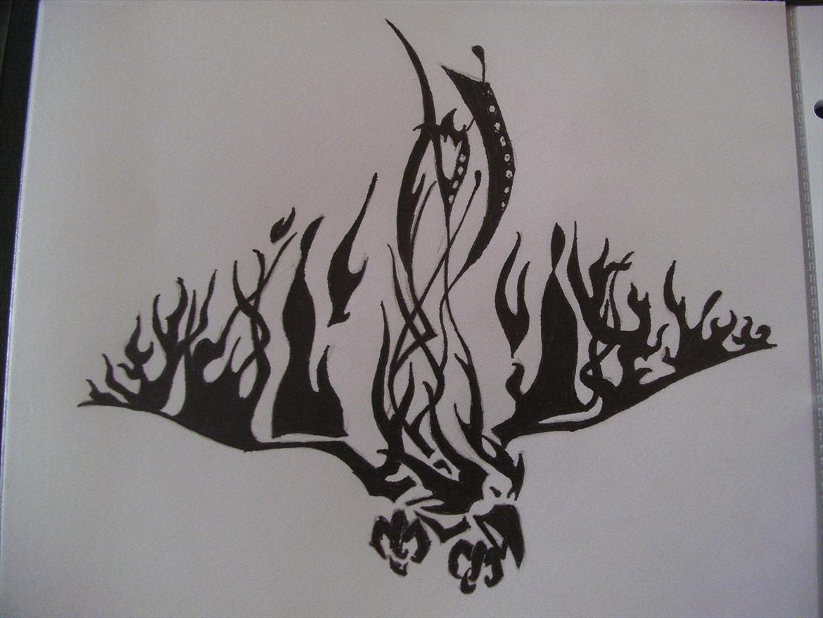 Tegninger - føniks 2010 billede 34