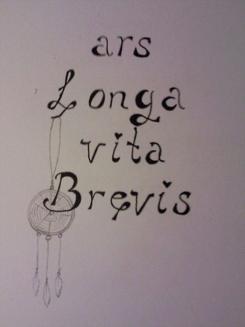 Tegninger - Ars longa vita brevis 2011 billede 42