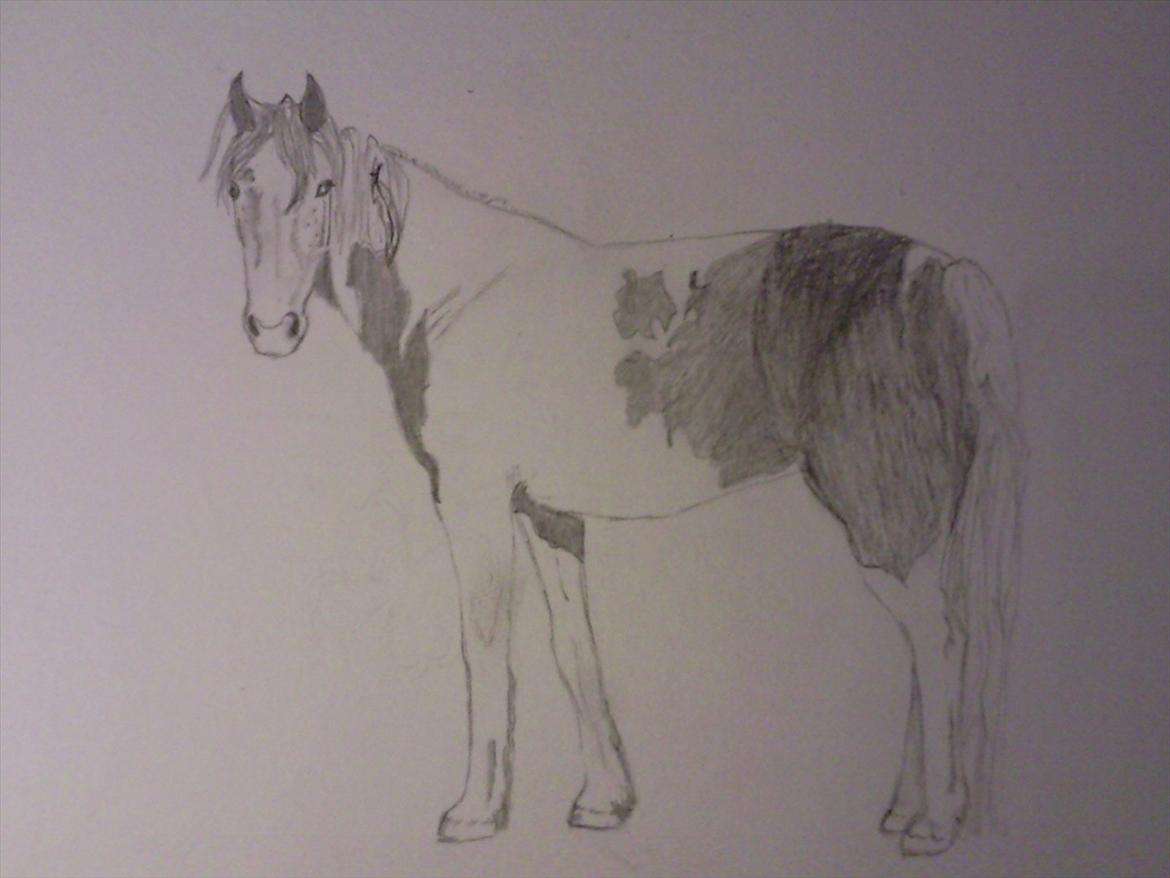 Tegninger - tequila 2010 billede 43