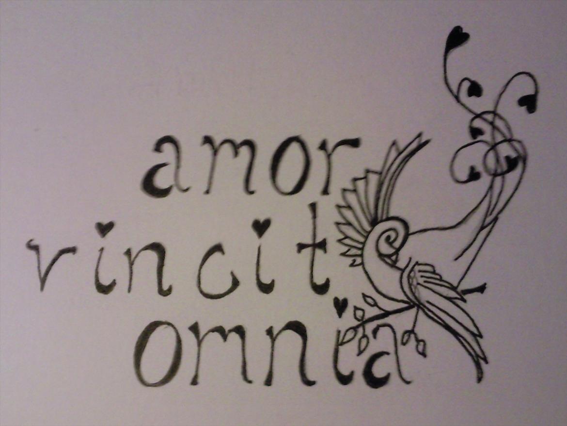 Tegninger - Amor vincit omnia 2010 billede 44