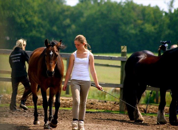 Ridelejr oppe hos Mia lykke nielsen :D billede 1