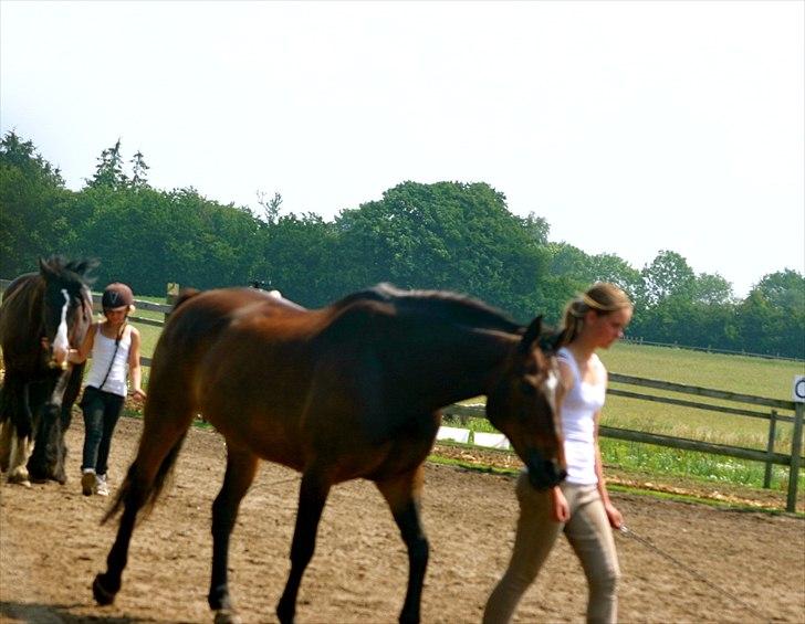 Ridelejr oppe hos Mia lykke nielsen :D billede 5