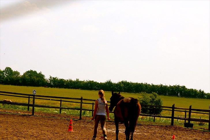 Ridelejr oppe hos Mia lykke nielsen :D billede 8